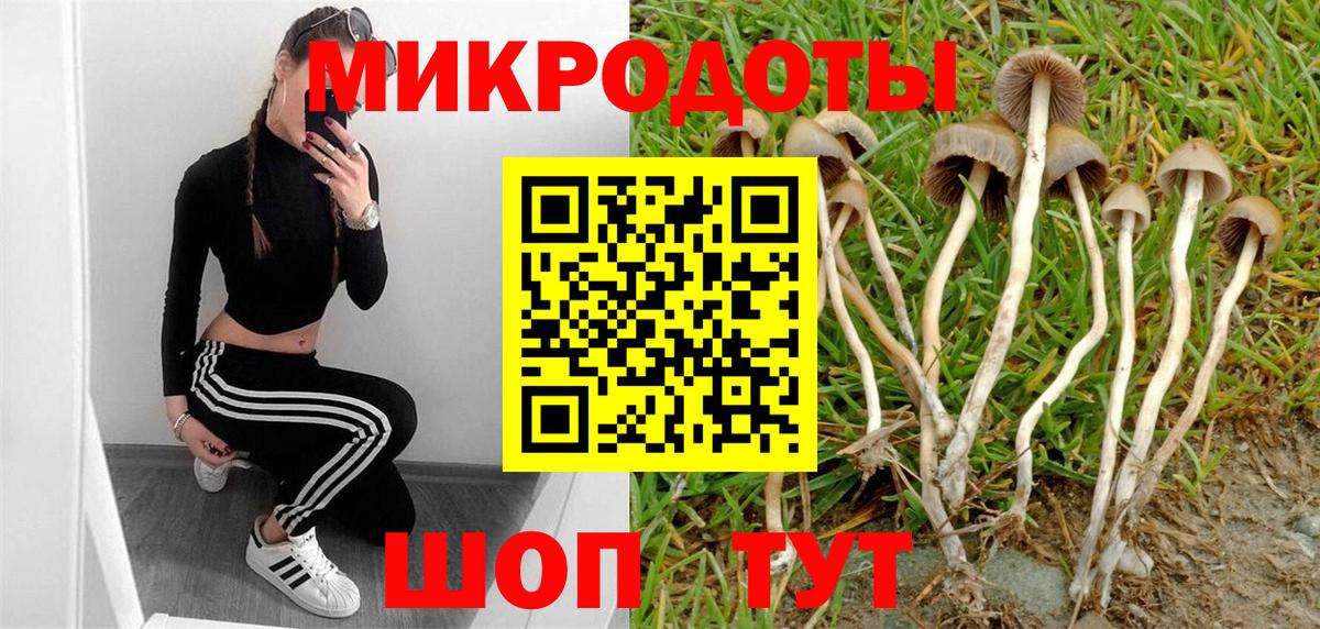 Псилоцибиновые грибы мухоморы Пенза