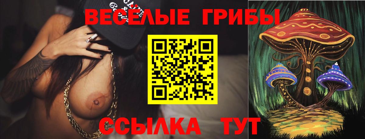 Пенза  Галлюциногенные грибы мухоморы  Вход с VPN 